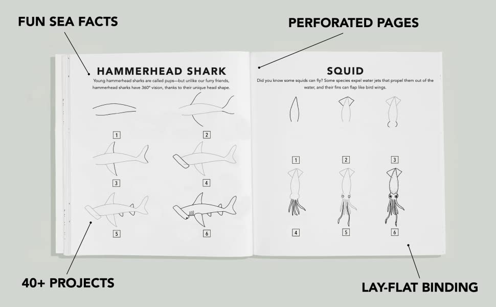 How to Draw Under the Sea for kids