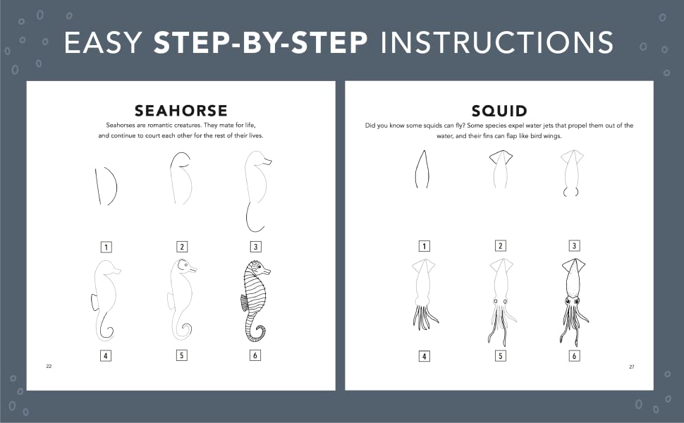 How to Draw Under the Sea for kids
