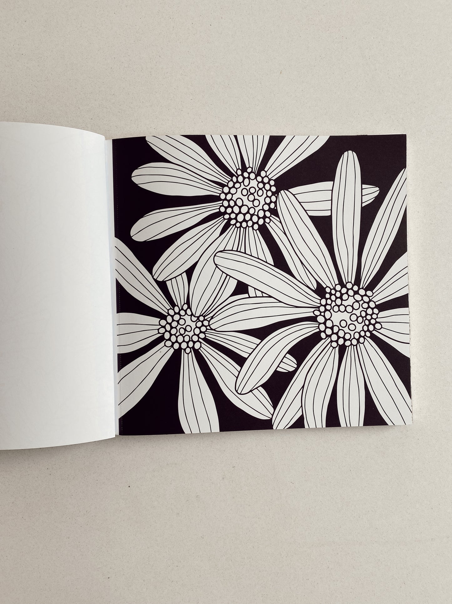 Hey Day Coloring book