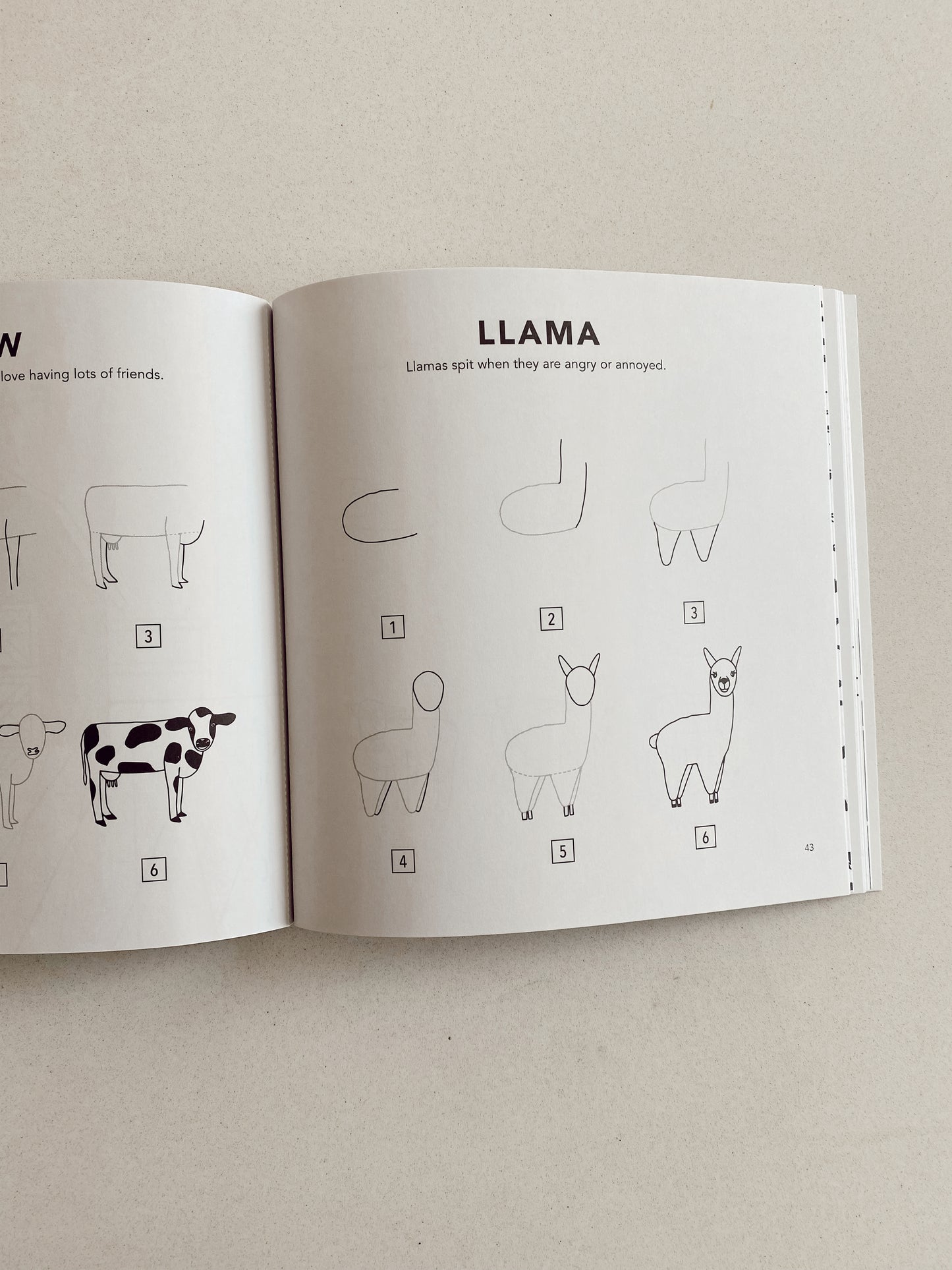 How to draw all the animals for kids
