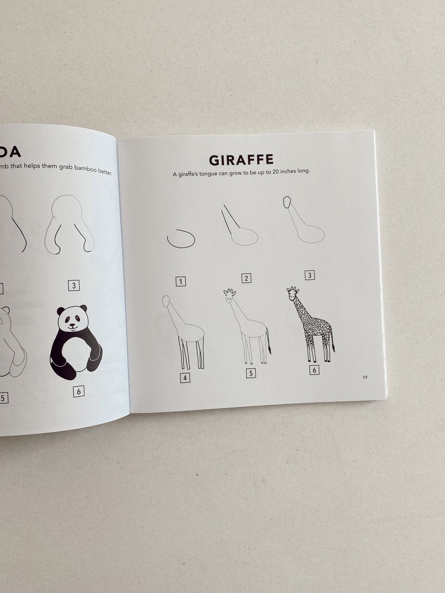 How to draw all the animals for kids