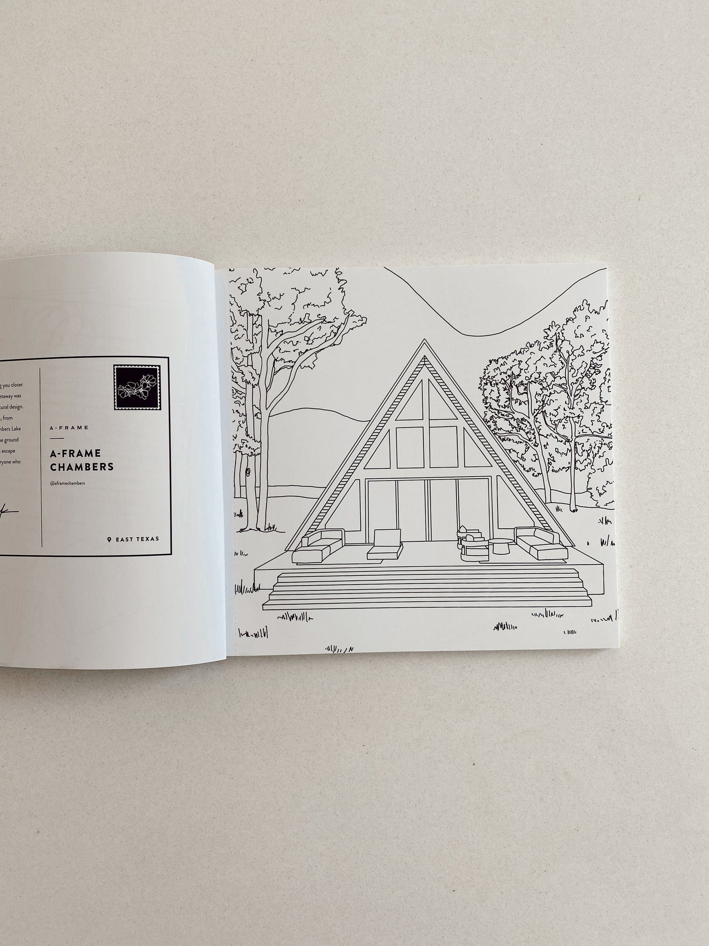 Coolest Homes Ever Coloring book