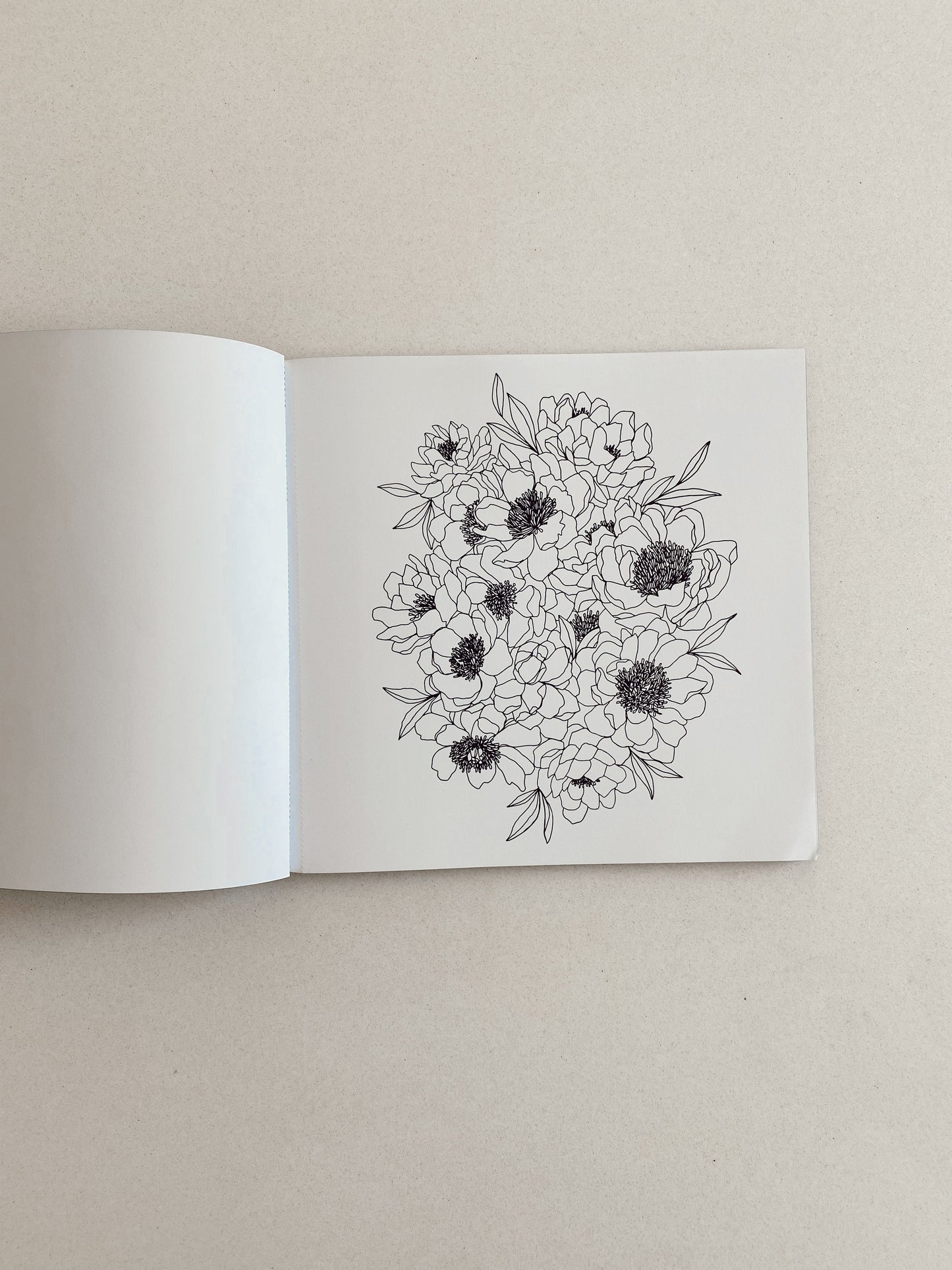 Bloom Coloring Book